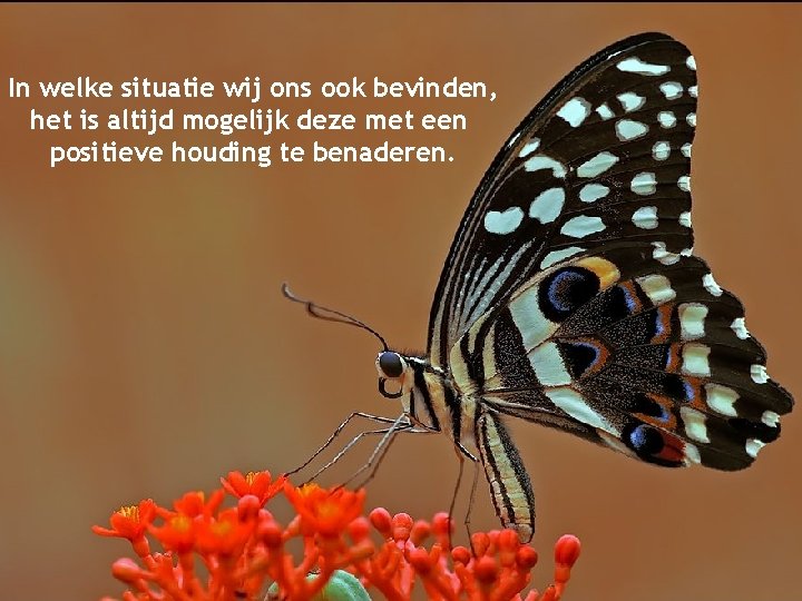 In welke situatie wij ons ook bevinden, het is altijd mogelijk deze met een