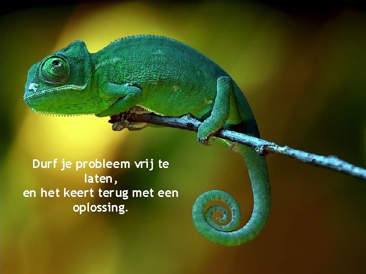 Durf je probleem vrij te laten, en het keert terug met een oplossing. 