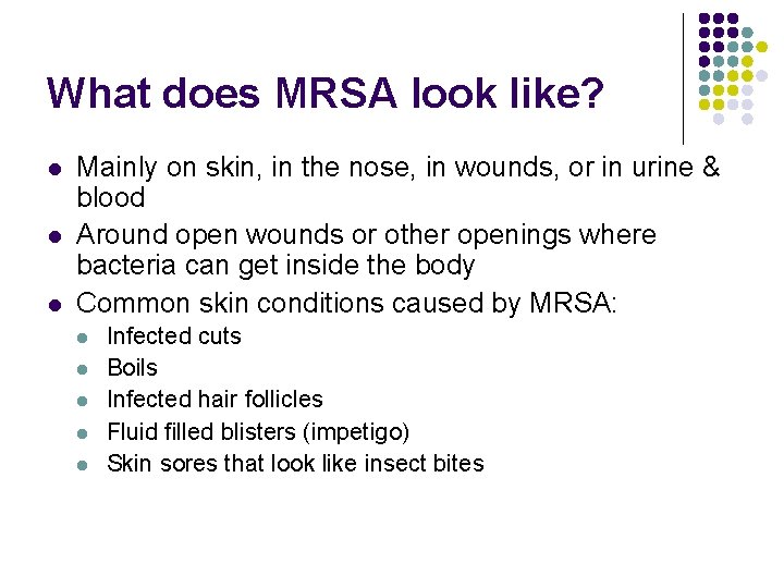 What does MRSA look like? l l l Mainly on skin, in the nose,