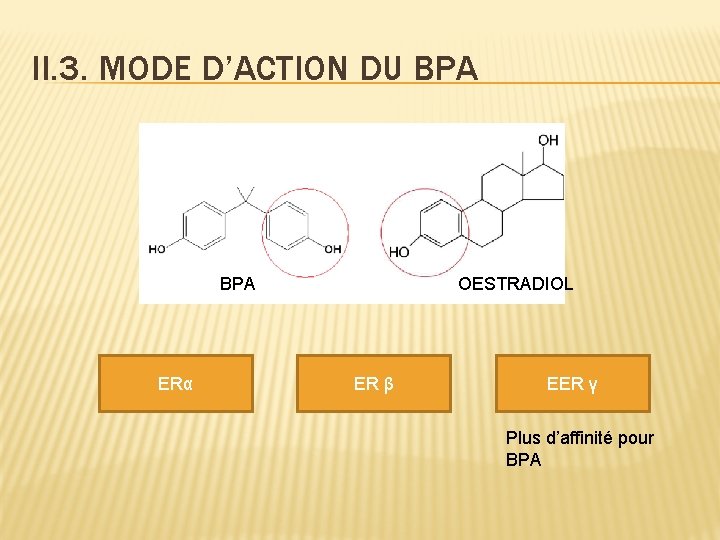 II. 3. MODE D’ACTION DU BPA ERα OESTRADIOL ER β EER γ Plus d’affinité