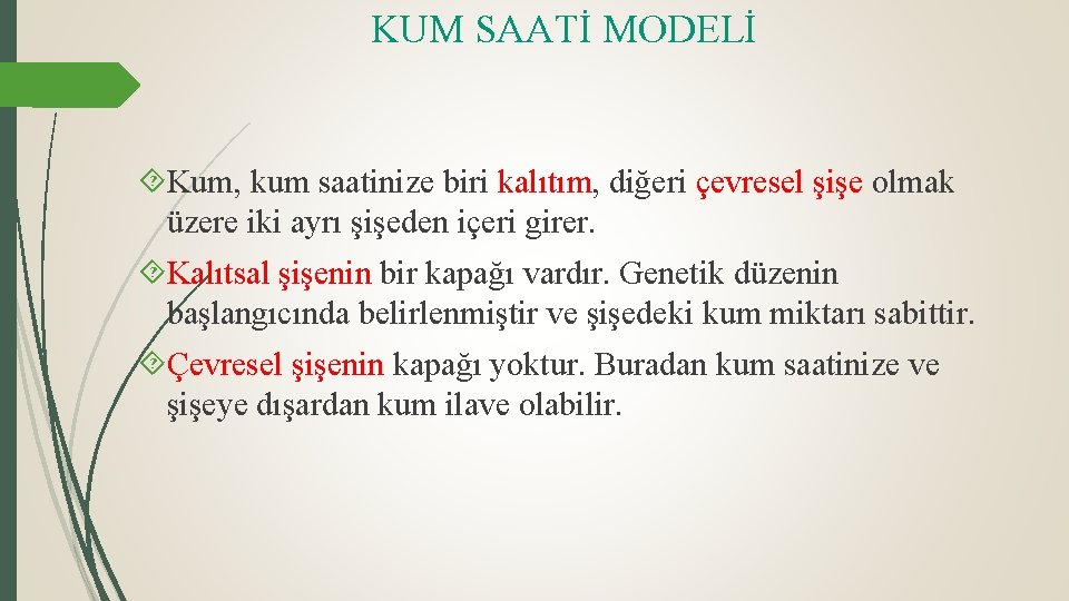 KUM SAATİ MODELİ Kum, kum saatinize biri kalıtım, diğeri çevresel şişe olmak üzere iki