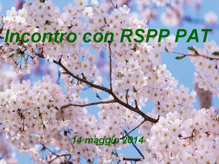 Incontro con RSPP PAT 14 maggio 2014 