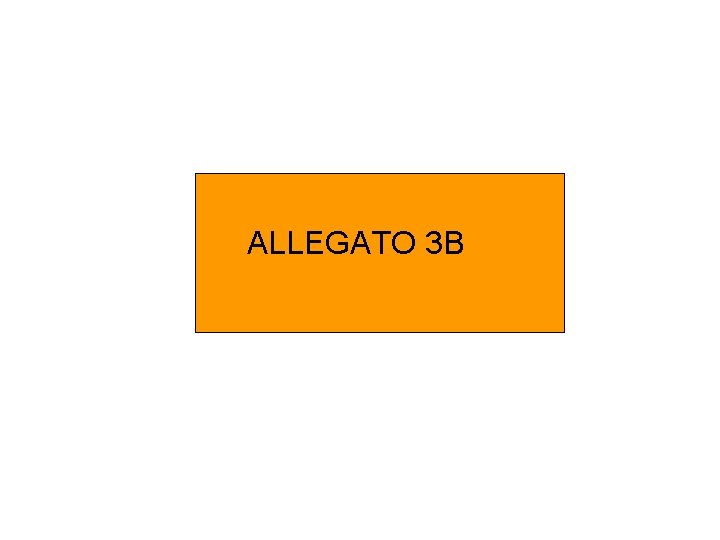 ALLEGATO 3 B 