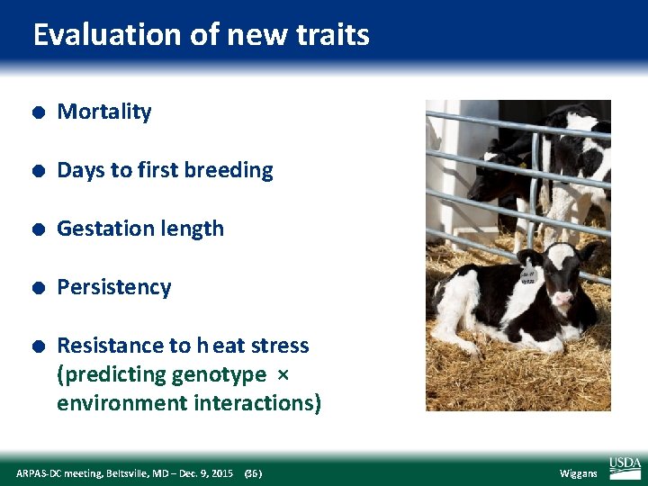 Evaluation of new traits l Mortality l Days to first breeding l Gestation length