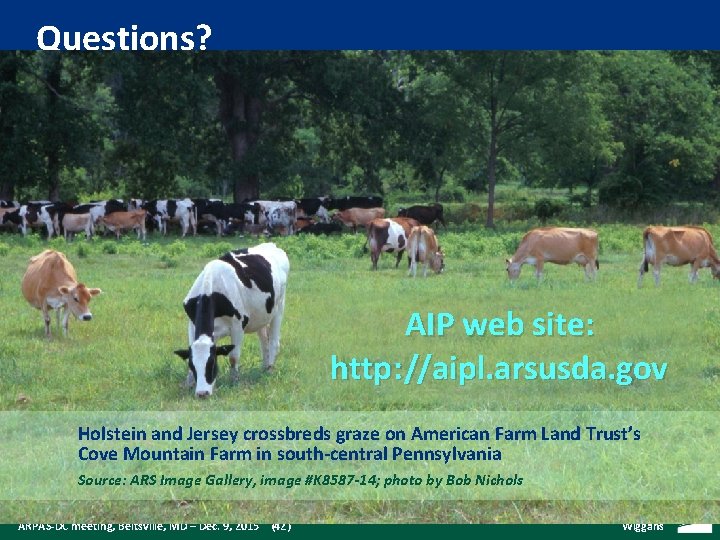 Questions? AIP web site: http : //aipl. arsusda. gov Holstein and Jersey crossbreds graze