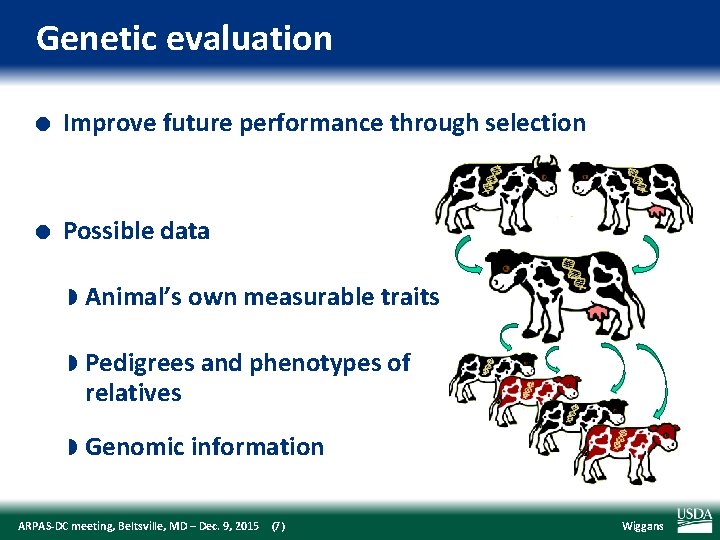 Genetic evaluation l Improve future performance through selection l Possible data w Animal’s own