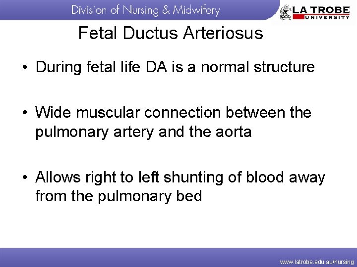 Fetal Ductus Arteriosus • During fetal life DA is a normal structure • Wide
