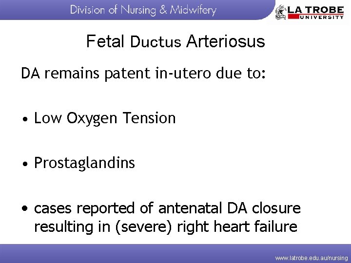 Fetal Ductus Arteriosus DA remains patent in-utero due to: • Low Oxygen Tension •
