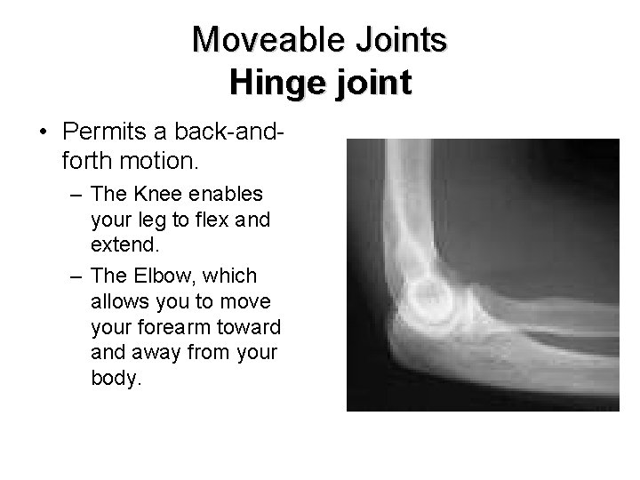 Moveable Joints Hinge joint • Permits a back-andforth motion. – The Knee enables your