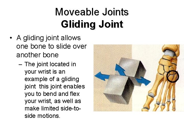 Moveable Joints Gliding Joint • A gliding joint allows one bone to slide over
