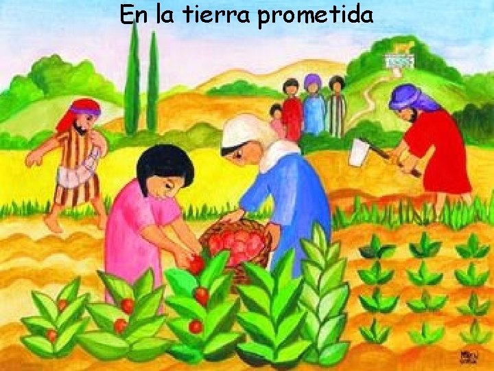 En la tierra prometida 