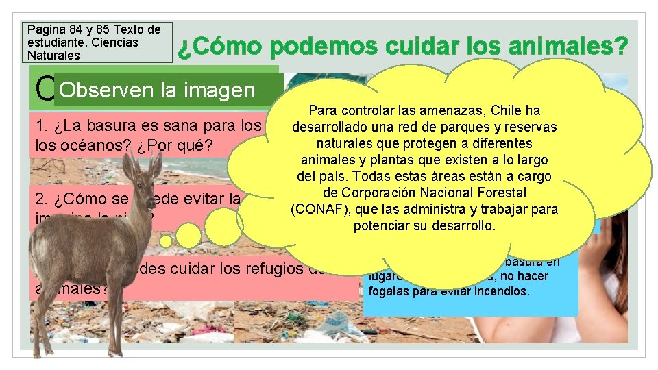 Pagina 84 y 85 Texto de estudiante, Ciencias Naturales ¿Cómo podemos cuidar los animales?