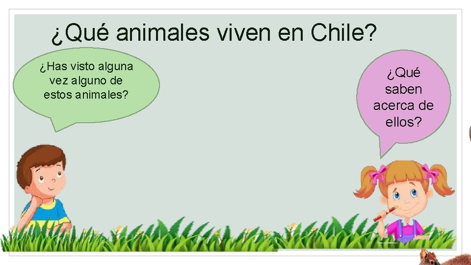 ¿Qué animales viven en Chile? ¿Has visto alguna vez alguno de estos animales? ¿Qué