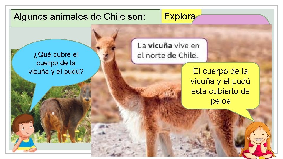 Página 80 Texto estudiantede Ciencias Algunos animales Chile son: naturales. ¿Qué cubre el cuerpo