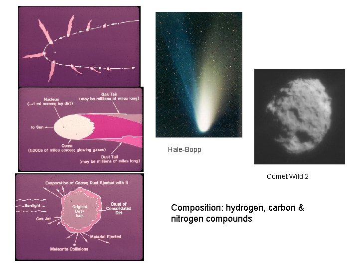 Hale-Bopp Comet Wild 2 Composition: hydrogen, carbon & nitrogen compounds 