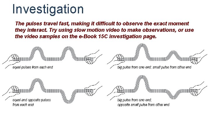Investigation The pulses travel fast, making it difficult to observe the exact moment they Investigation The pulses travel fast, making it difficult to observe the exact moment they