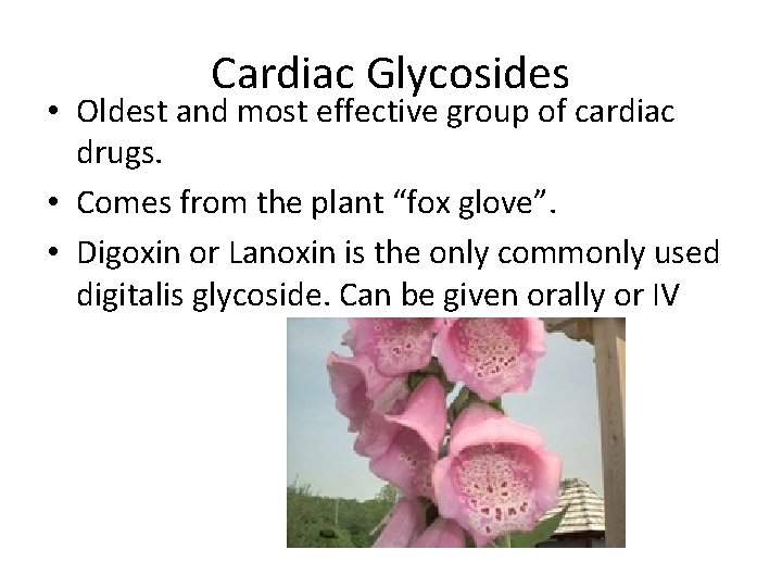 Cardiac Glycosides • Oldest and most effective group of cardiac drugs. • Comes from