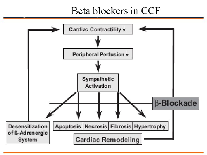 Beta blockers in CCF 