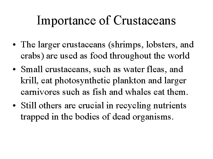 Importance of Crustaceans • The larger crustaceans (shrimps, lobsters, and crabs) are used as