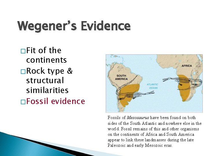 Wegener’s Evidence � Fit of the continents � Rock type & structural similarities �