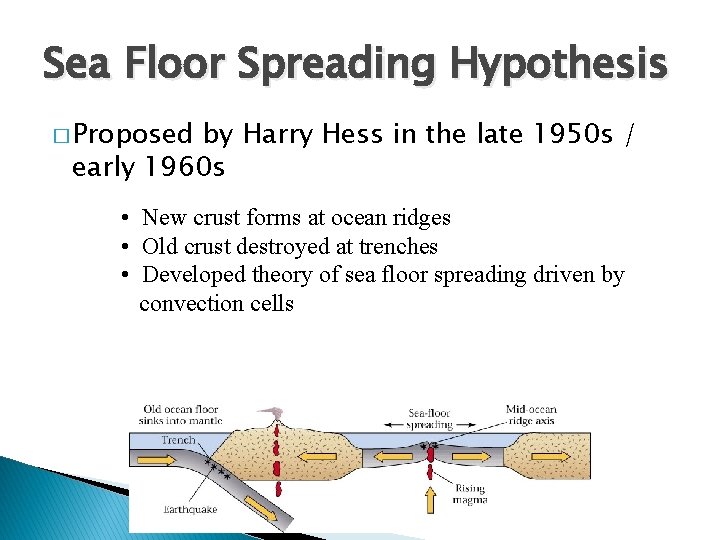 Sea Floor Spreading Hypothesis � Proposed by Harry Hess in the late 1950 s