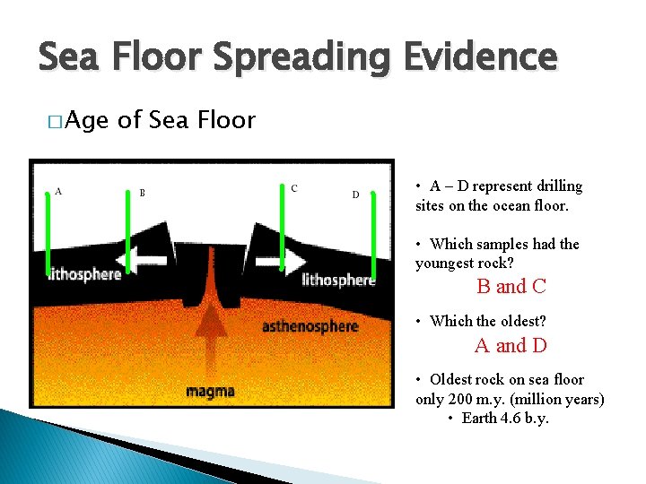 Sea Floor Spreading Evidence � Age of Sea Floor • A – D represent