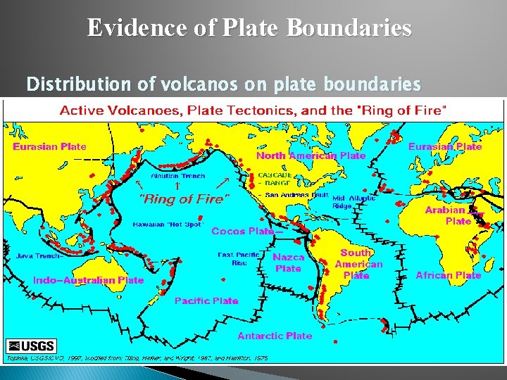 Evidence of Plate Boundaries Distribution of volcanos on plate boundaries 