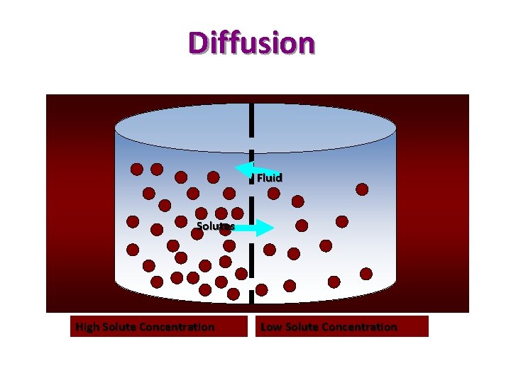 Diffusion Fluid Solutes High Solute Concentration Low Solute Concentration 