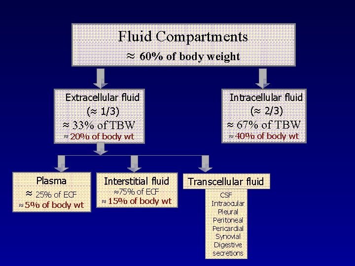 Fluid Compartments 60% of body weight Extracellular fluid ( 1/3) 33% of TBW 20%