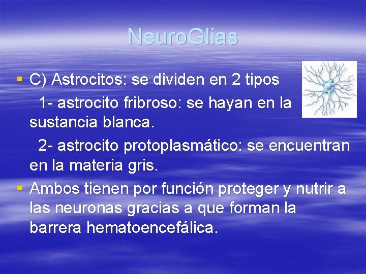 Neuro. Glias § C) Astrocitos: se dividen en 2 tipos 1 - astrocito fribroso: