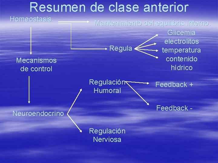 Resumen de clase anterior Homeostasis. Mecanismos de control Mantenimiento del equilibrio interno. Glicemia electrolitos