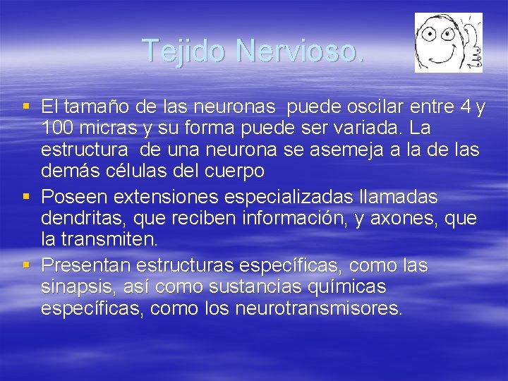 Tejido Nervioso. § El tamaño de las neuronas puede oscilar entre 4 y 100