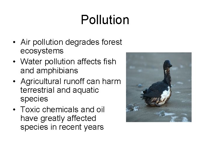 Pollution • Air pollution degrades forest ecosystems • Water pollution affects fish and amphibians