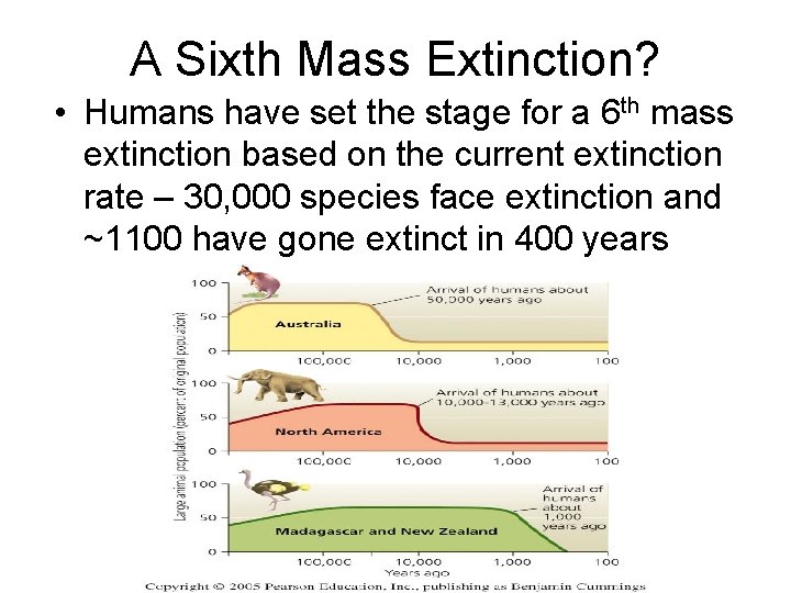 A Sixth Mass Extinction? • Humans have set the stage for a 6 th