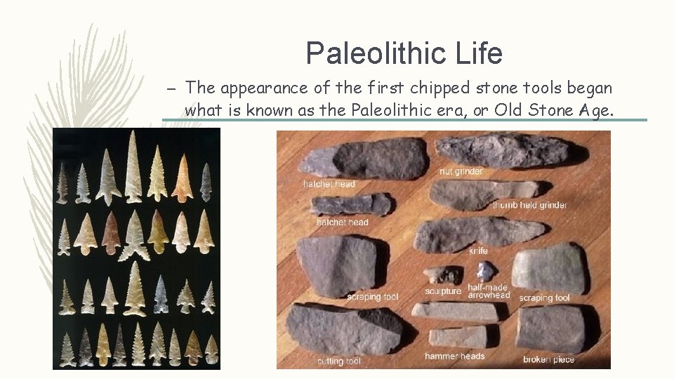 Paleolithic Life – The appearance of the first chipped stone tools began what is