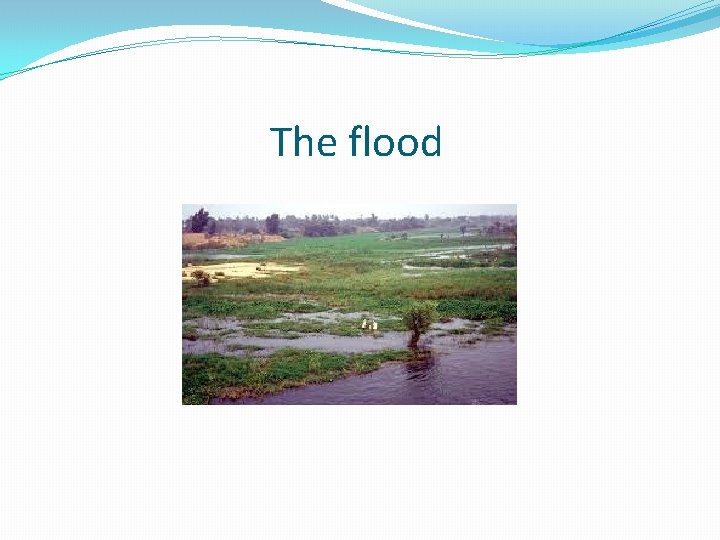 The flood 