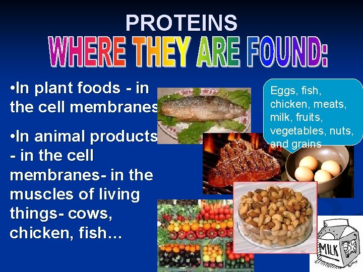 PROTEINS • In plant foods - in the cell membranes • In animal products PROTEINS • In plant foods - in the cell membranes • In animal products