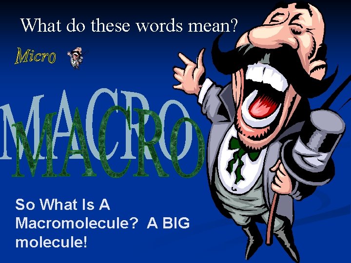 What do these words mean? So What Is A Macromolecule? A BIG molecule! What do these words mean? So What Is A Macromolecule? A BIG molecule!