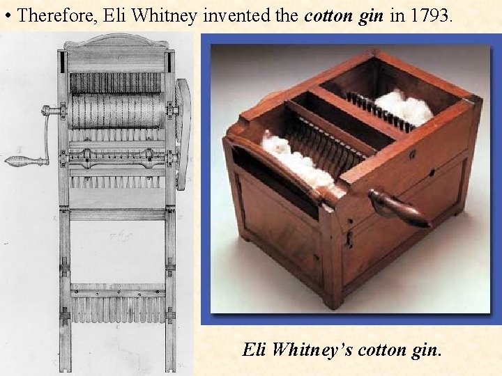 Objective To examine the impact of the cotton