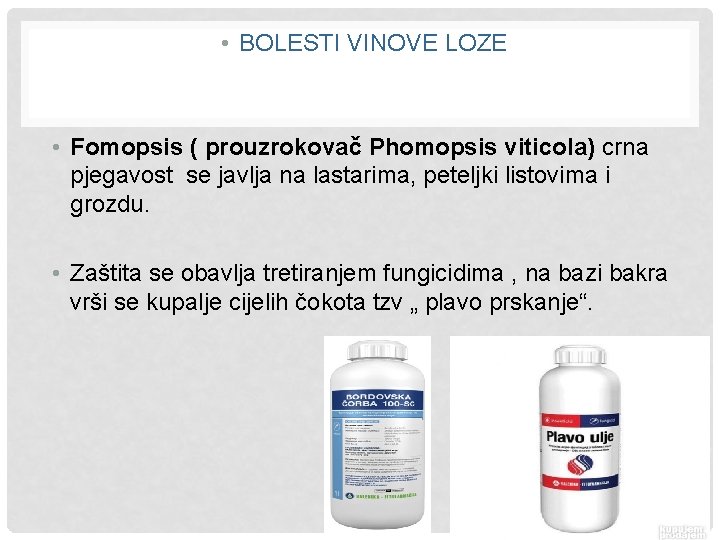  • BOLESTI VINOVE LOZE • Fomopsis ( prouzrokovač Phomopsis viticola) crna pjegavost se