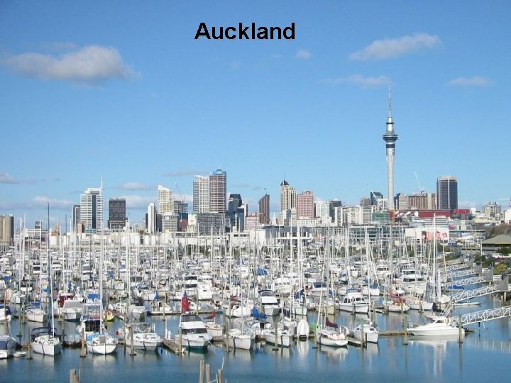 Auckland 