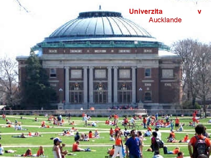 Univerzita Aucklande v 