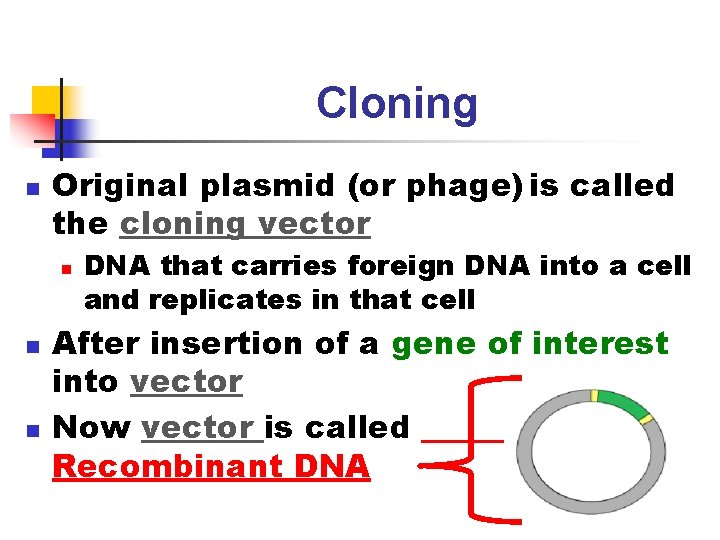 Cloning n Original plasmid (or phage) is called the cloning vector n n n