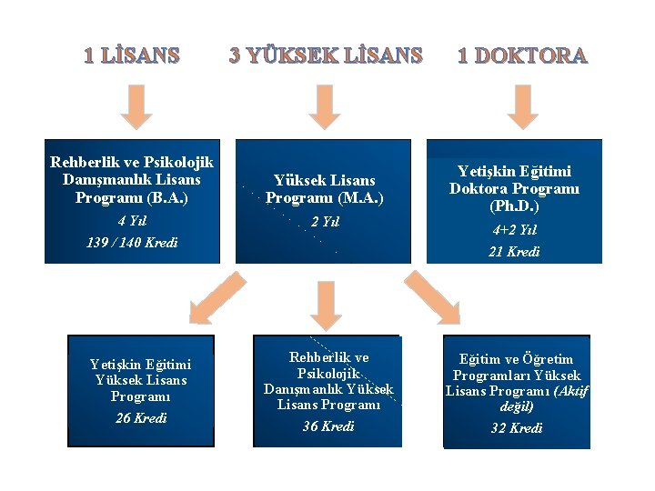 1 LİSANS 3 YÜKSEK LİSANS Rehberlik ve Psikolojik Danışmanlık Lisans Programı (B. A. )