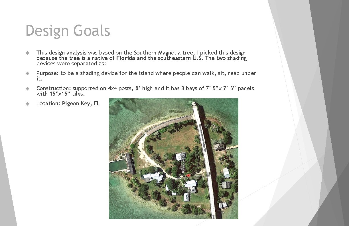 Design Goals This design analysis was based on the Southern Magnolia tree, I picked