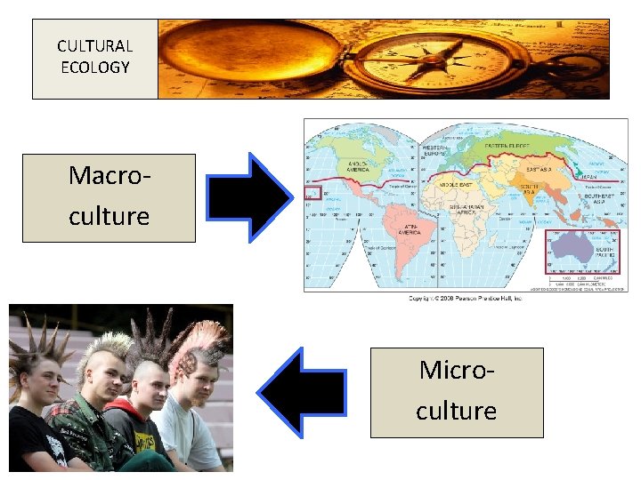 CULTURAL ECOLOGY Macroculture Microculture 