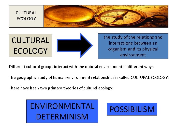 CULTURAL ECOLOGY the study of the relations and interactions between an organism and its