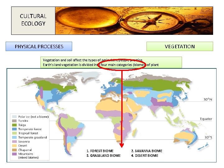 CULTURAL ECOLOGY PHYSICAL PROCESSES VEGETATION Vegetation and soil affect the types of agriculture people