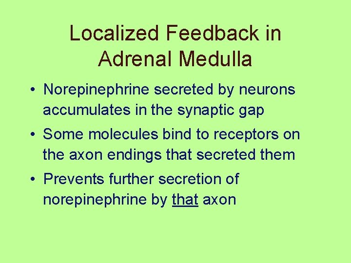 Localized Feedback in Adrenal Medulla • Norepinephrine secreted by neurons accumulates in the synaptic