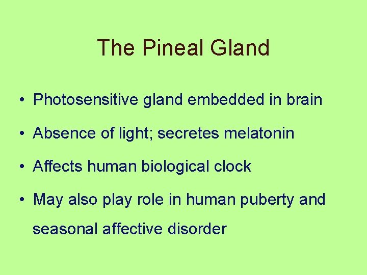 The Pineal Gland • Photosensitive gland embedded in brain • Absence of light; secretes